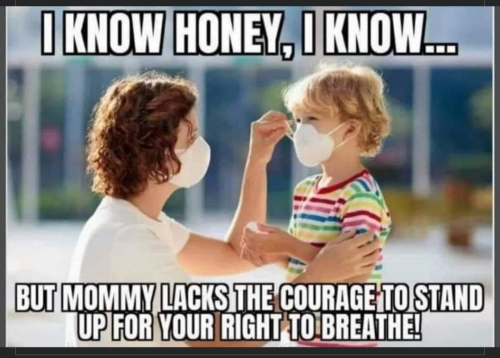 Screenshot_20210822-233225-874