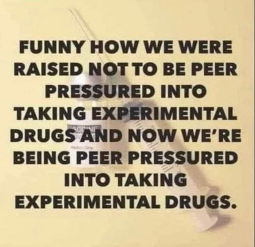 15b066b1-611e-46ab-b7cd-a16cc8bdb8c6d