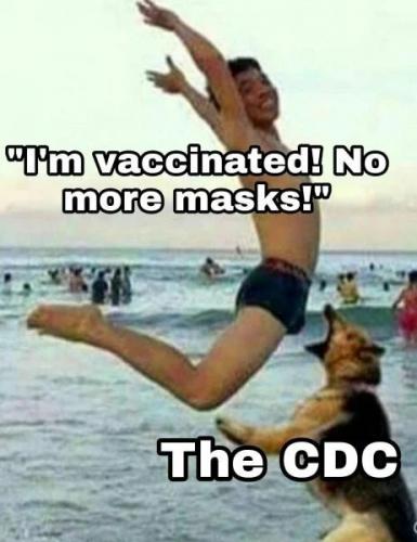 85F23338-3A84-4D7B-835F-E8B88F8B830F