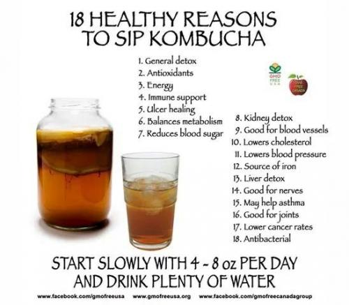 #Kombucha