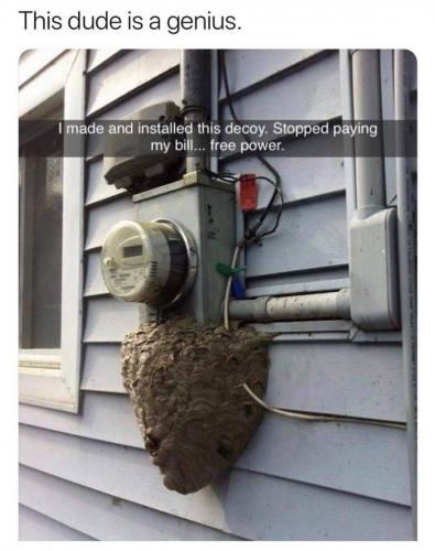 FB_IMG_1571708345321