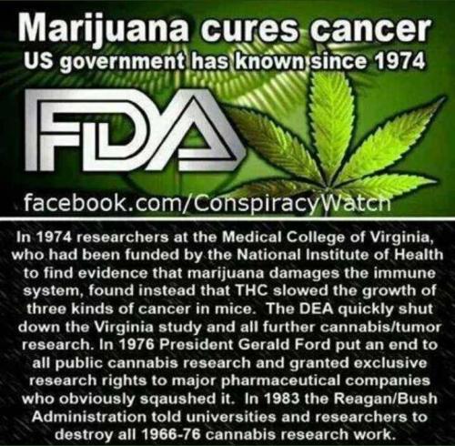 015D4481-C074-4884-A4D2-48D8E44C95EA