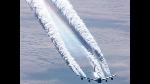 FB_IMG_1627410604869