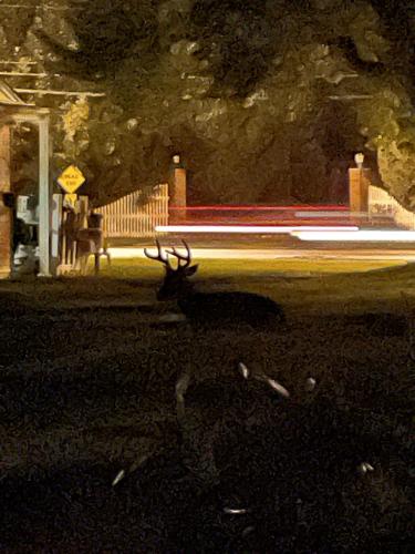 104B0E4D-BE71-4227-BB9F-A34C39769C7E