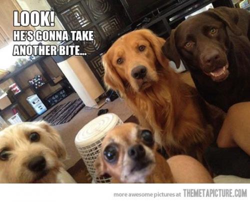 Beggin