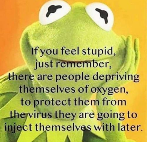 36F1C80B-AF89-4A2C-B67E-BB22472900D9