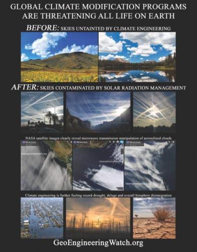 FB_IMG_1627410635344