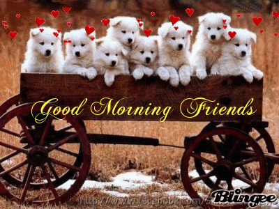 gmfriendspups