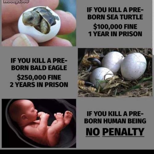 C35F58A0-E204-4537-82E9-22D7F0869354