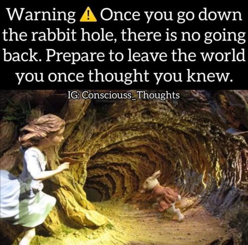 FB_IMG_1629541521133
