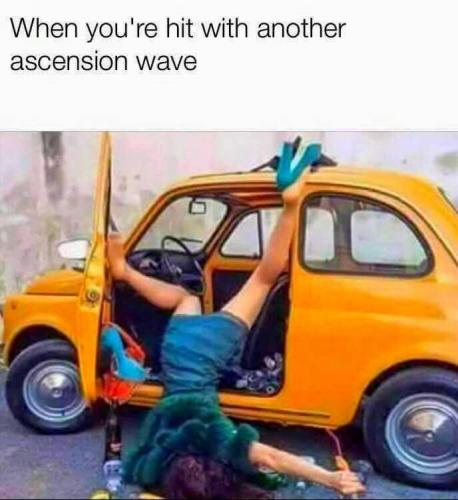 C4EAE3AC-311F-4350-9B81-3854D95F31C5