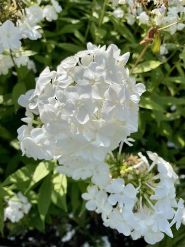 BB6D08AF-2E07-4776-B243-FB1669CBB8DC