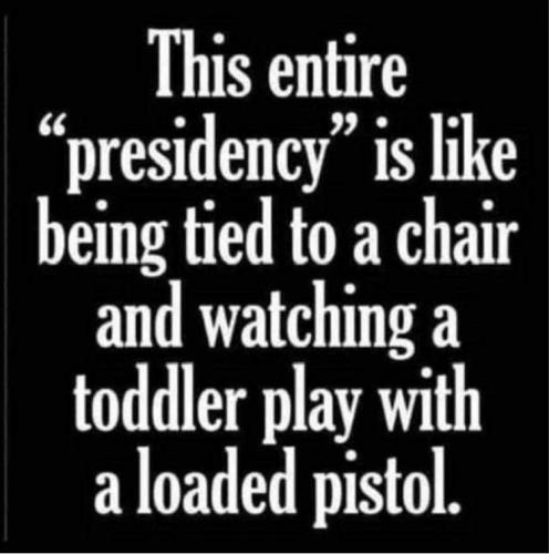 Biden Toddler W: Gun