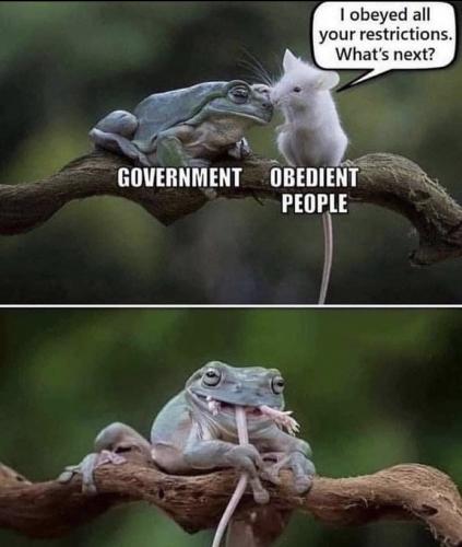 30CCBD76-2B08-40A3-833C-056D19ECB747