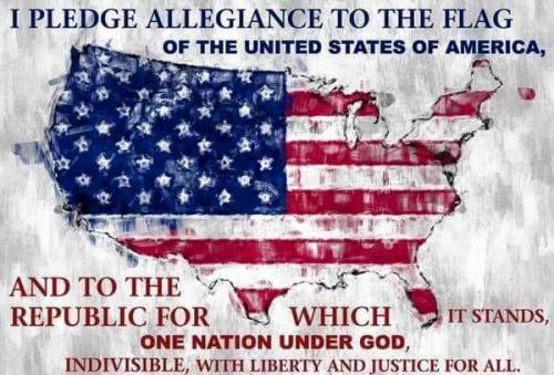 pledge 2