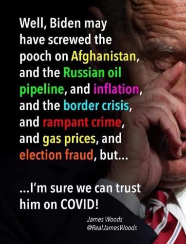 image_1630213140.582