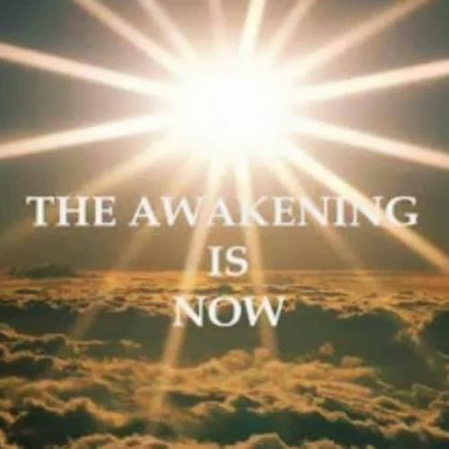 -5845708574897060478_121