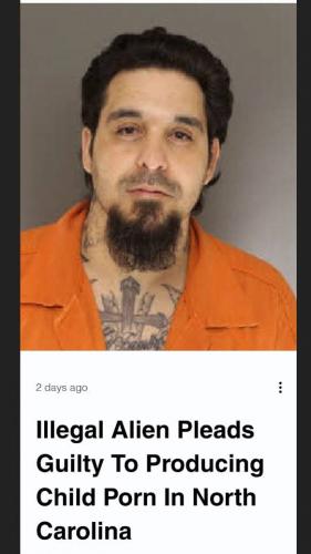 IllegalAlien2