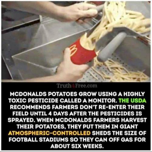 FD492DFB-0C26-408E-B7FB-593F89C2A00C