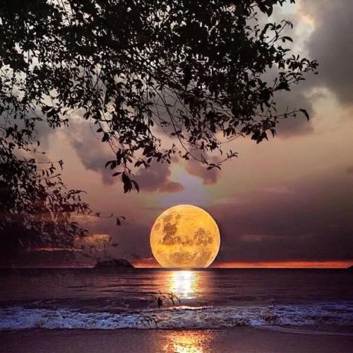 new moon