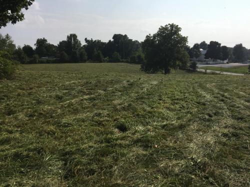 49980C3E-F283-428D-90AD-39DFE7AB92B6