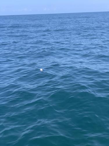 A44598E2-096E-4076-B27B-145A09FD067D