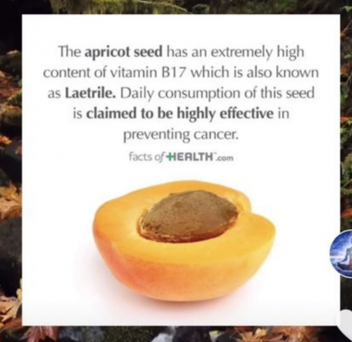 Screenshot_20210727-022623-145