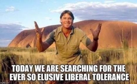 8c902bbc0dc99d3c2ba8eb012fce3ed3b281bc997a75b22be8779c719afd63fd