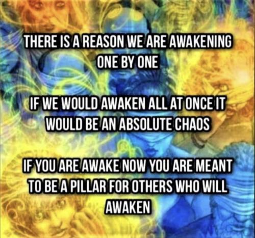 311C091E-9E6C-49AE-99DE-0F597E1415C9