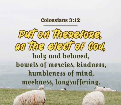 Colossians 3:12