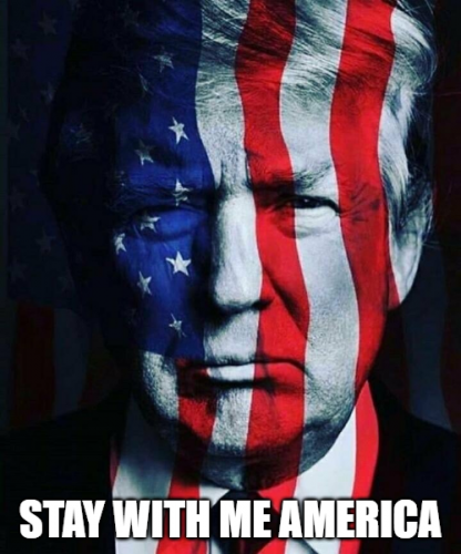 img - 2021-08-16T161736.719