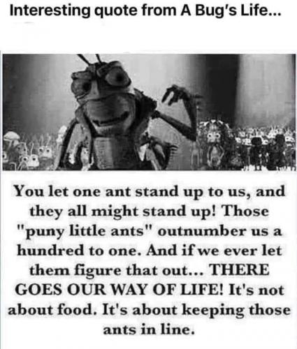ABugsLife1