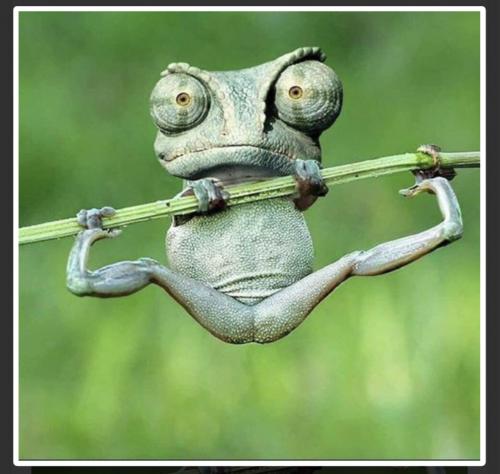 29A1A936-1772-45D9-AD37-515ABFE70E01