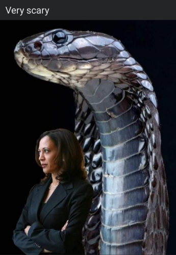 Screenshot_20210822-082719-661