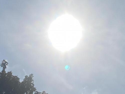 DCC12FD0-1925-4792-A3D5-F73F1E6EBE37