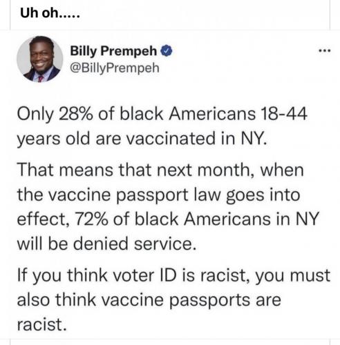 R racist