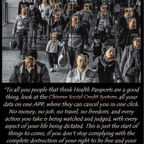 235949815_180298237387656_3232024024194842923_n