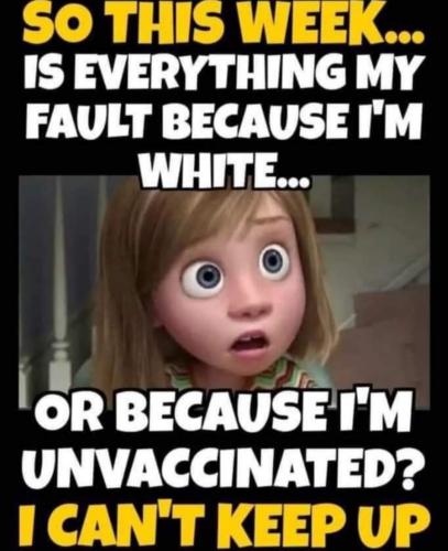 Screenshot_20210814-193515_Wimkin