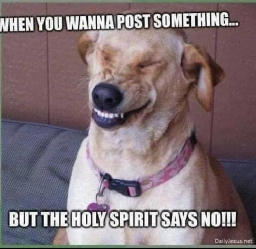 30227D4D-BA13-4505-9DF0-2D935CA9012B