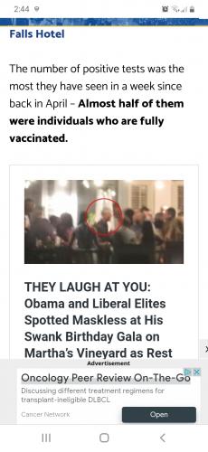 Screenshot_20210814-024411_Chrome