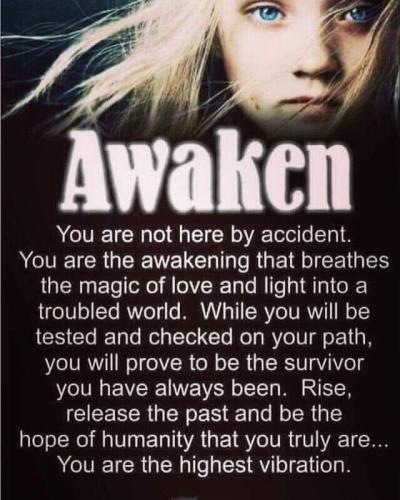 50958957-2F46-46D8-9EAB-2BAE00BB01A0