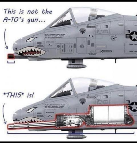 A10F2EE1-05EC-48EE-AFB0-5974AA5855F4