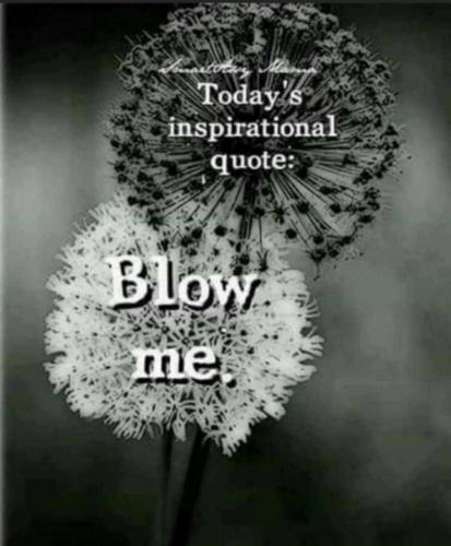 437D4885-F5CF-4968-B0B6-8FB8638B2AA6