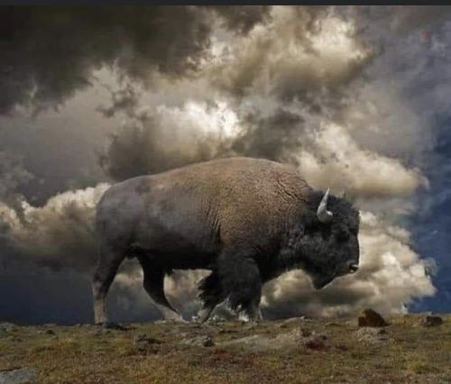 EAB6520B-3C6F-42E0-9367-322EFB0BDBAA