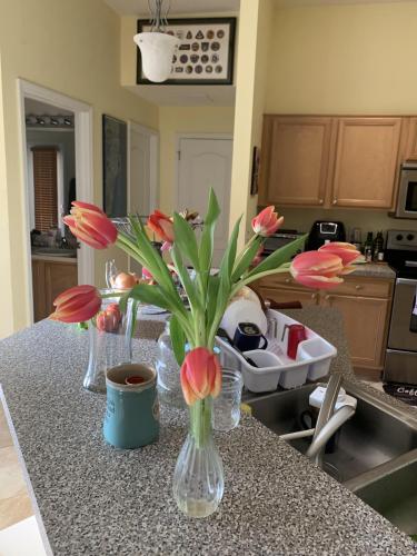 F2BFE460-7A12-4D26-847D-D2F2A4B6F7E1