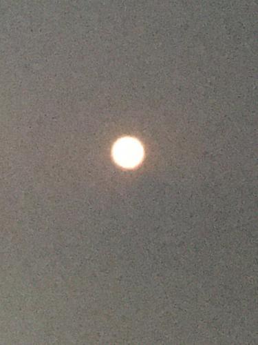 71540A14-5E11-4036-B75D-1DB8B751799F