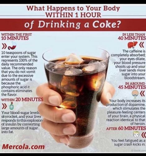 2A4DC393-D61D-46D3-A1AD-7BCB6EBC87F6