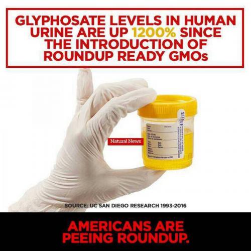 #Glyphosate #Monsanto #RoundUP #GMO