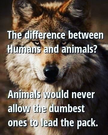 THE DIFFERENCE