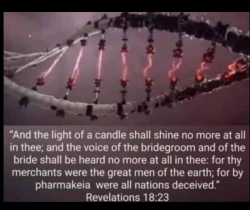 Screenshot_20210801-172426-042